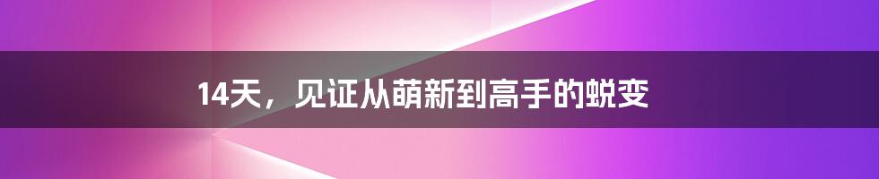 14天，见证从萌新到高手的蜕变