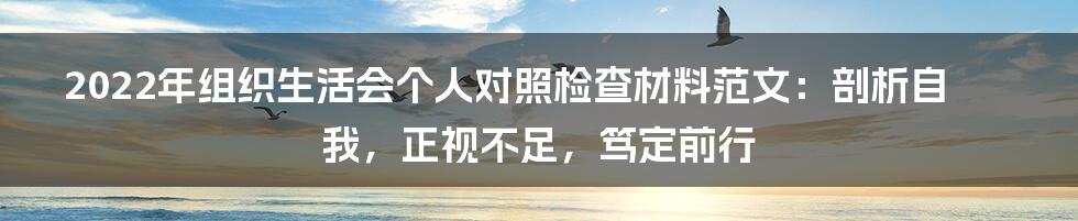 2022年组织生活会个人对照检查材料范文：剖析自我，正视不足，笃定前行