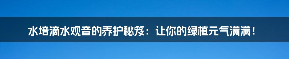 水培滴水观音的养护秘笈：让你的绿植元气满满！