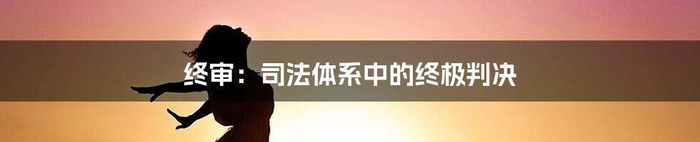 终审：司法体系中的终极判决