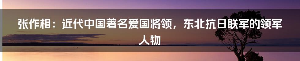 张作相：近代中国著名爱国将领，东北抗日联军的领军人物