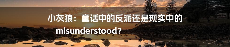 小灰狼：童话中的反派还是现实中的 misunderstood？