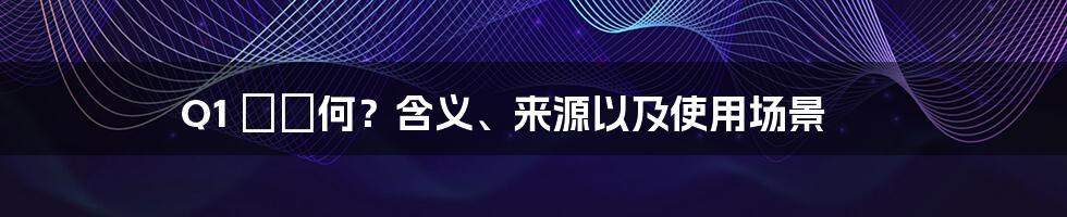 Q1 って何？含义、来源以及使用场景