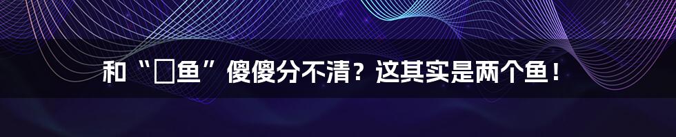 和“鳂鱼”傻傻分不清？这其实是两个鱼！