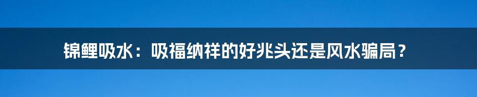 锦鲤吸水：吸福纳祥的好兆头还是风水骗局？