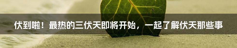 伏到啦！最热的三伏天即将开始，一起了解伏天那些事