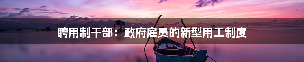 聘用制干部：政府雇员的新型用工制度