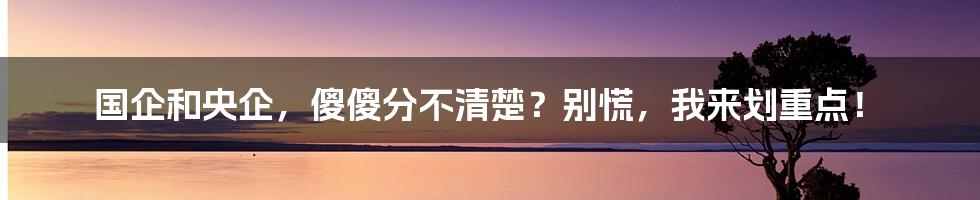 国企和央企，傻傻分不清楚？别慌，我来划重点！