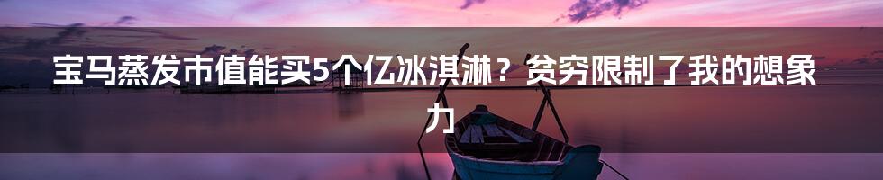 宝马蒸发市值能买5个亿冰淇淋？贫穷限制了我的想象力