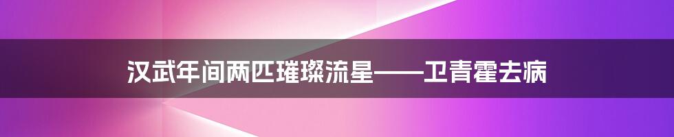 汉武年间两匹璀璨流星——卫青霍去病