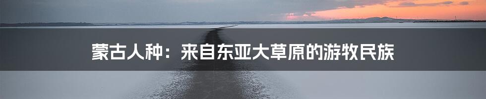 蒙古人种：来自东亚大草原的游牧民族