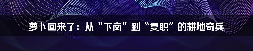 萝卜回来了：从“下岗”到“复职”的耕地奇兵