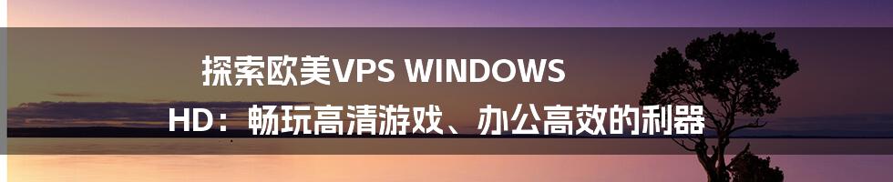 探索欧美VPS WINDOWS HD：畅玩高清游戏、办公高效的利器