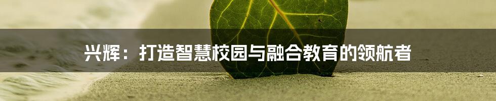 兴辉：打造智慧校园与融合教育的领航者