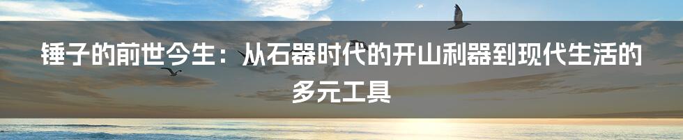 锤子的前世今生：从石器时代的开山利器到现代生活的多元工具