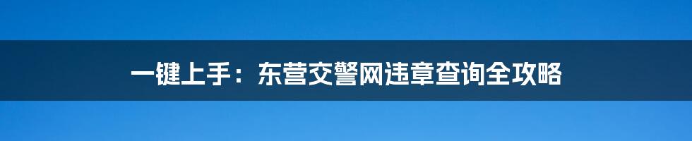 一键上手：东营交警网违章查询全攻略