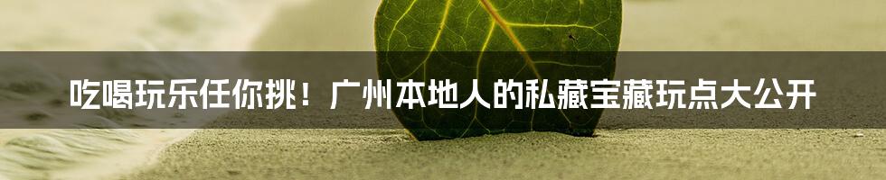 吃喝玩乐任你挑！广州本地人的私藏宝藏玩点大公开