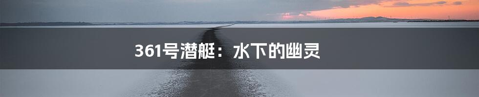 361号潜艇：水下的幽灵