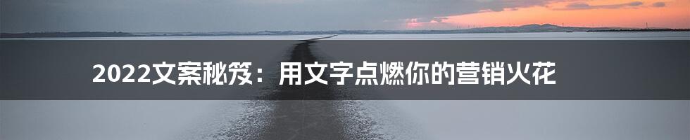 2022文案秘笈：用文字点燃你的营销火花