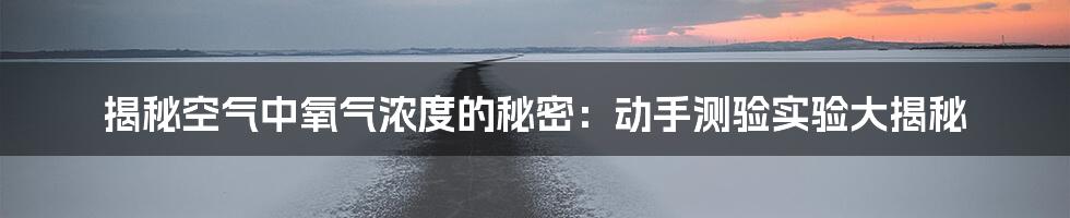 揭秘空气中氧气浓度的秘密：动手测验实验大揭秘