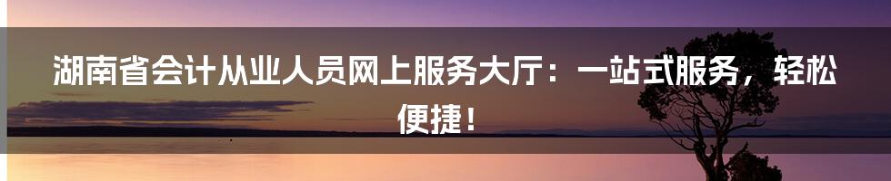 湖南省会计从业人员网上服务大厅：一站式服务，轻松便捷！