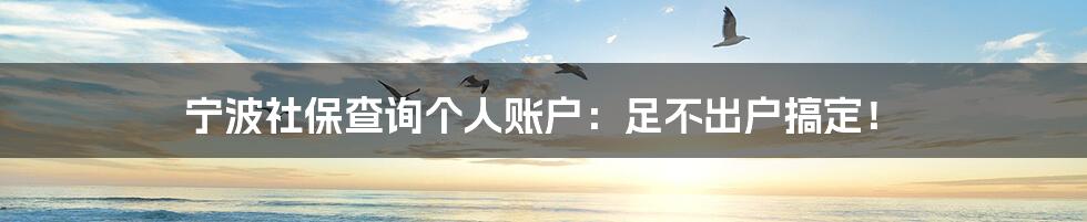 宁波社保查询个人账户：足不出户搞定！