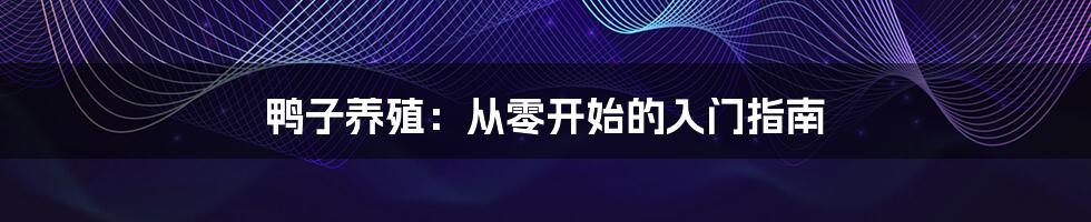 鸭子养殖：从零开始的入门指南