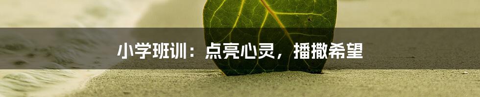 小学班训：点亮心灵，播撒希望