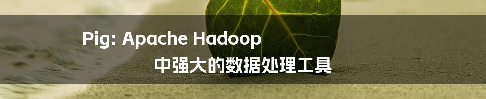 Pig: Apache Hadoop 中强大的数据处理工具