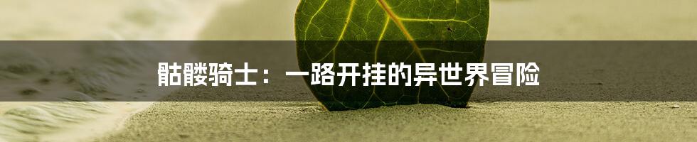 骷髅骑士：一路开挂的异世界冒险