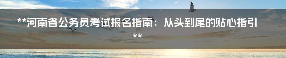 **河南省公务员考试报名指南：从头到尾的贴心指引**