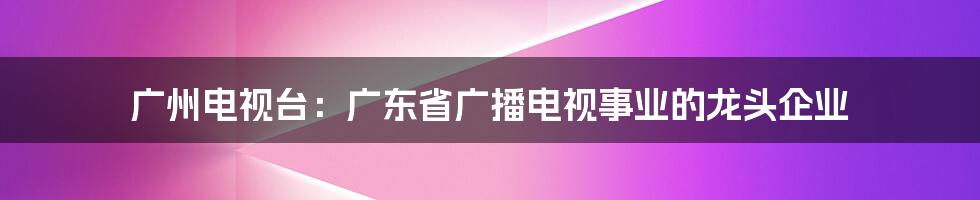 广州电视台：广东省广播电视事业的龙头企业