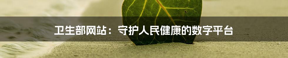 卫生部网站：守护人民健康的数字平台