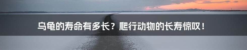 乌龟的寿命有多长？爬行动物的长寿惊叹！