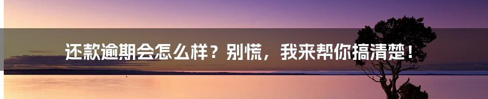 还款逾期会怎么样？别慌，我来帮你搞清楚！