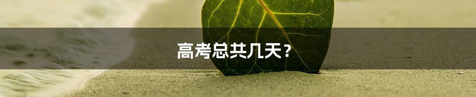 高考总共几天？