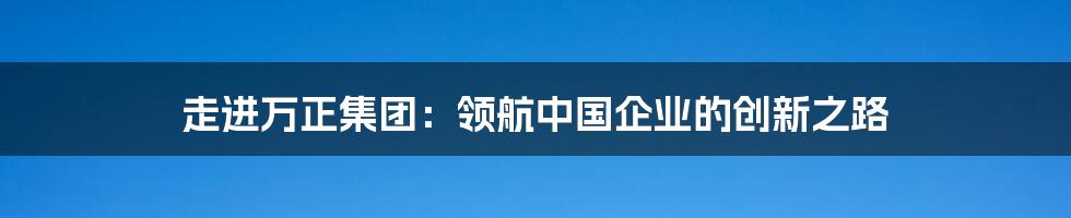 走进万正集团：领航中国企业的创新之路