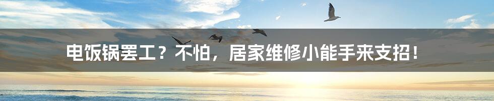 电饭锅罢工？不怕，居家维修小能手来支招！