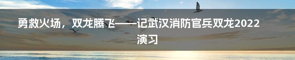 勇救火场，双龙腾飞——记武汉消防官兵双龙2022演习