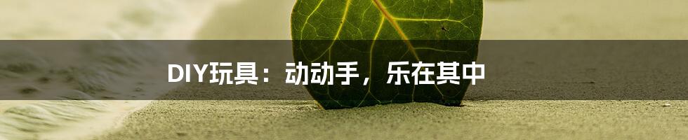 DIY玩具：动动手，乐在其中