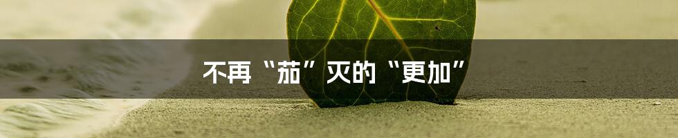 不再“茄”灭的“更加”