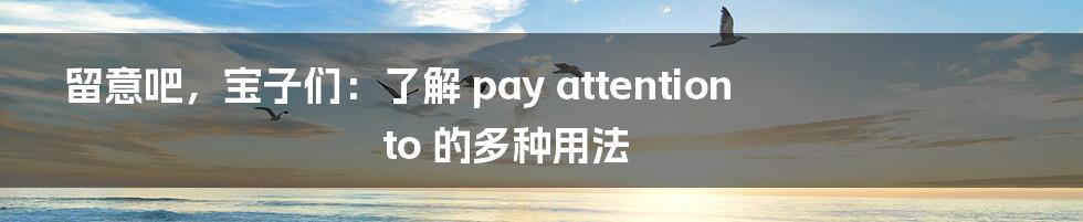 留意吧，宝子们：了解 pay attention to 的多种用法