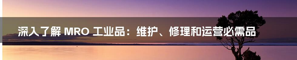 深入了解 MRO 工业品：维护、修理和运营必需品