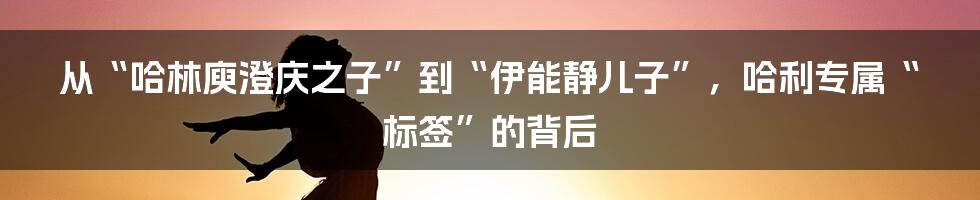 从“哈林庾澄庆之子”到“伊能静儿子”，哈利专属“标签”的背后