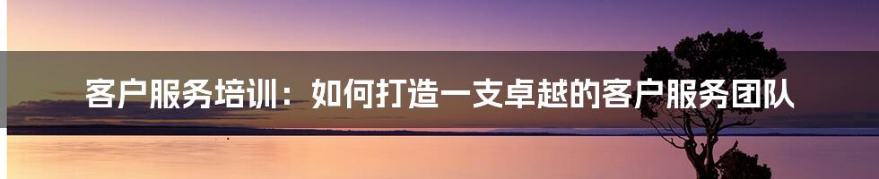 客户服务培训：如何打造一支卓越的客户服务团队