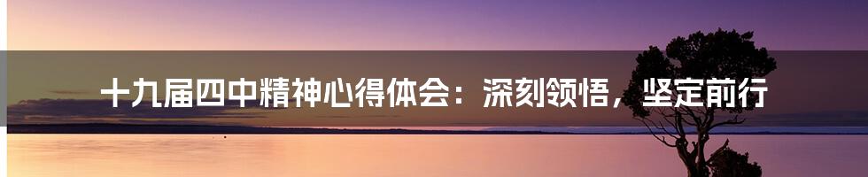 十九届四中精神心得体会：深刻领悟，坚定前行