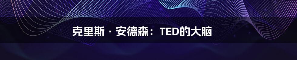 克里斯·安德森：TED的大脑