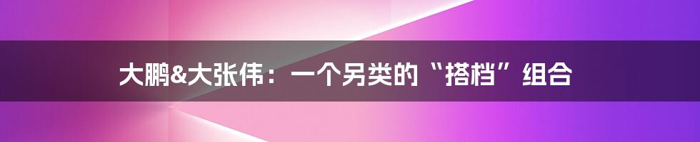 大鹏&大张伟：一个另类的“搭档”组合