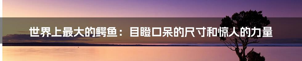 世界上最大的鳄鱼：目瞪口呆的尺寸和惊人的力量