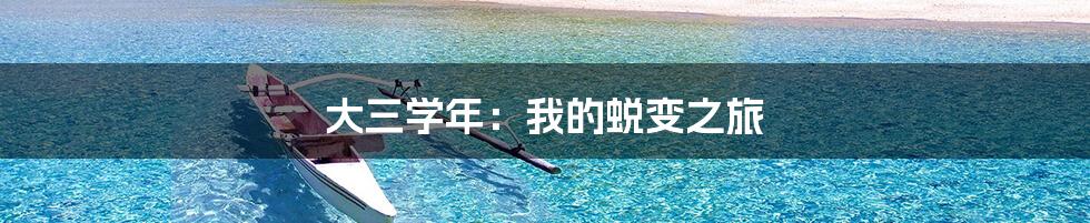 大三学年：我的蜕变之旅